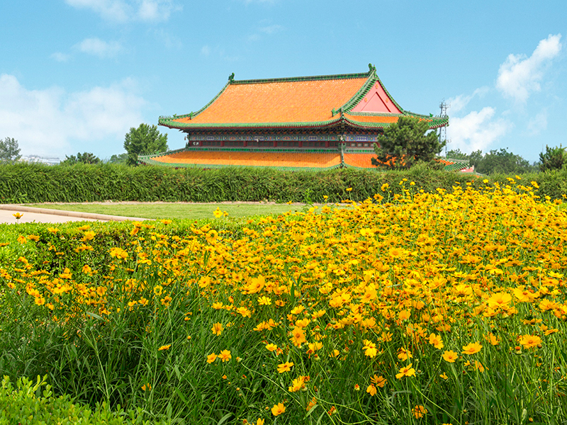 长青园骨灰林具体位置(长青园骨灰林有什么优势)