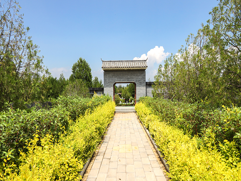 朝阳区有哪些陵园（长青园骨灰林环境、位置）