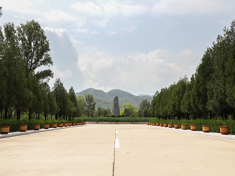 北京市长青园骨灰林基地市属陵园之一（骨灰葬海葬定点陵园）